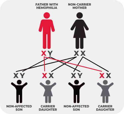 mother non-carrier chart