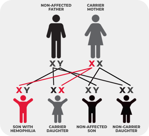 mother carrier chart